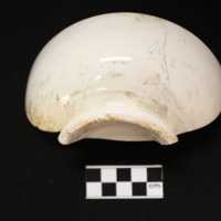 25LC181_P1_74.3.jpg